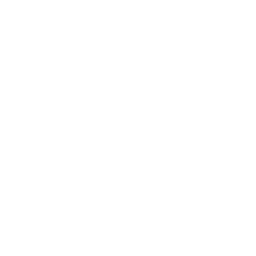 Identity Icon